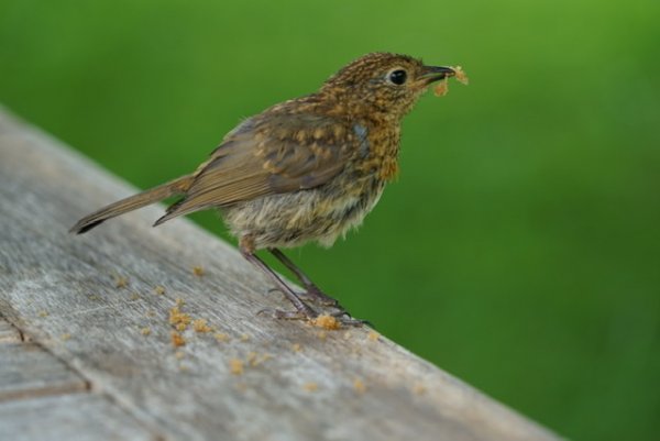 0D692079-68D1-42EC-B5CD-AB6FC9D63634.jpeg
