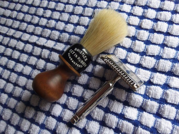 [Image: 100_3021-jpg.93835]