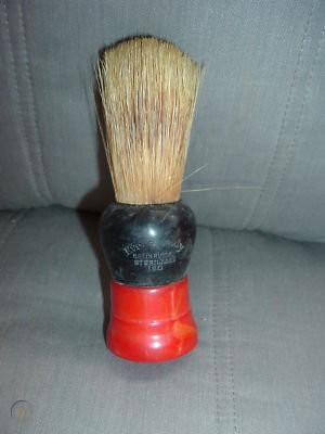 1116126C-773D-4B3E-A717-C1CD3808C0D7.jpeg