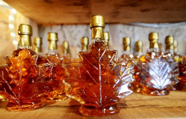 20130324_Maple010-1024x656.jpg