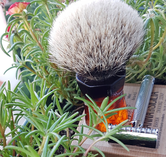 20180713_073724 DD.jpg