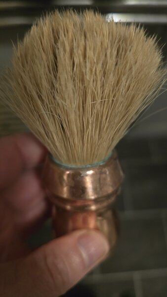 20250318_205351.jpg