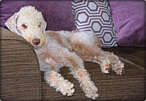 28060911_10155924430261648_1750199299309909936_o.jpg