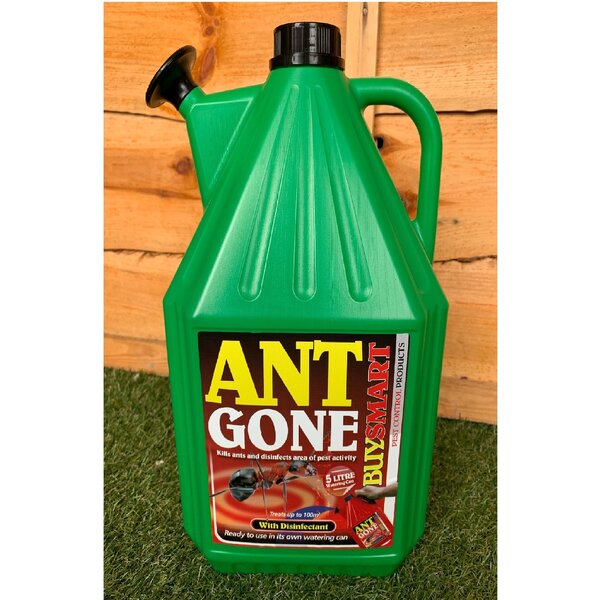 ant.jpg
