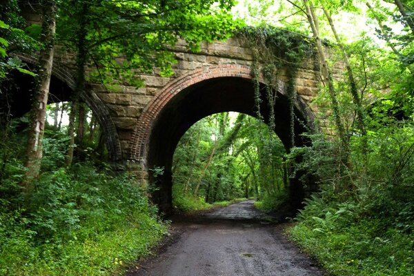 Cinder-Track-Robin-Hoods-Bay.jpg