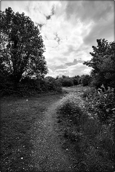 DSC00539.JPG