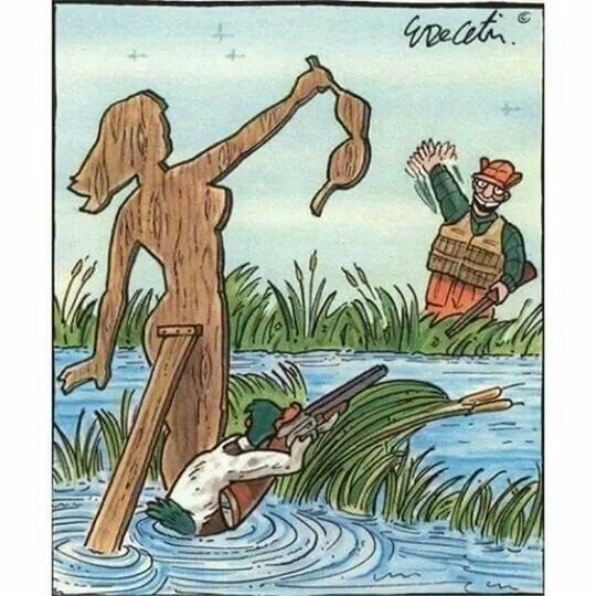 duck.jpg