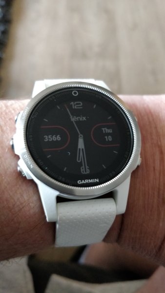 Fenix 5s.jpg