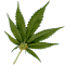 hash.gif.bf0f002e17e7107407ce147b26dfa8b2.gif