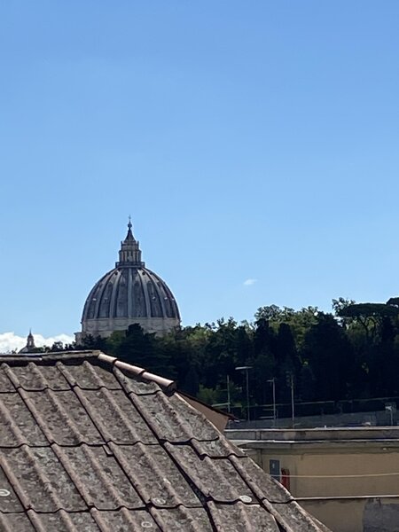 IMG_0536.jpeg