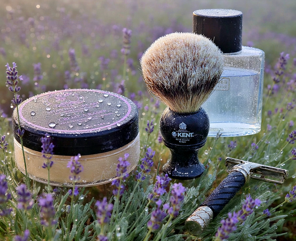lavender fields.png