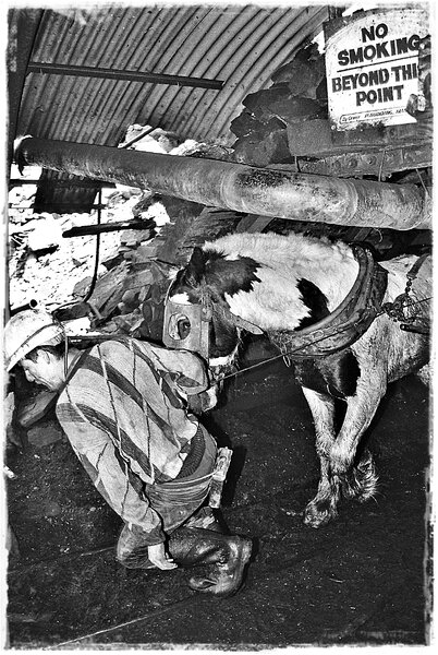 Mining photos6.jpg