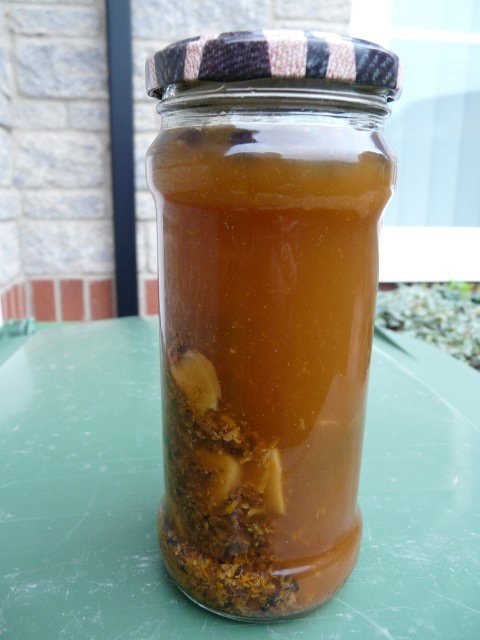 P1000782 (Small).JPG