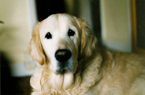 scan0005.jpg