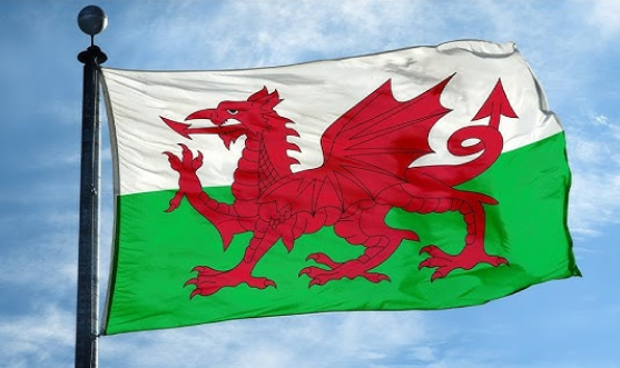 Screenshot 2025-08-21 at 15-53-03 red dragon flag original welsh flag - Google Search.png