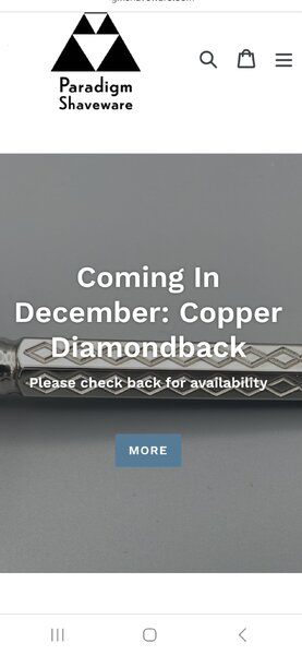 Screenshot_20241108_102336_Chrome.jpg