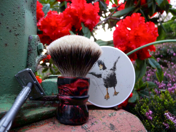 Shave April 7-1.JPG