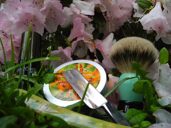 Shave Mar 28 2025-1.JPG