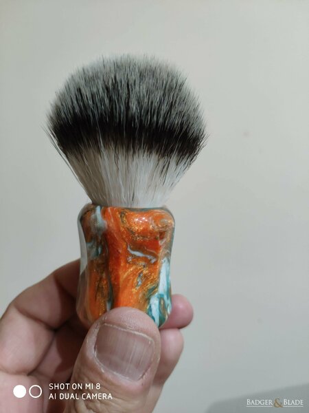 Shavemac_Dolphins.jpg