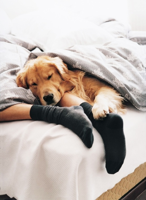 Slumber Party.jpg