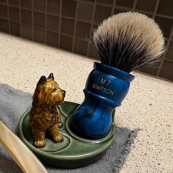 sotd.jpg