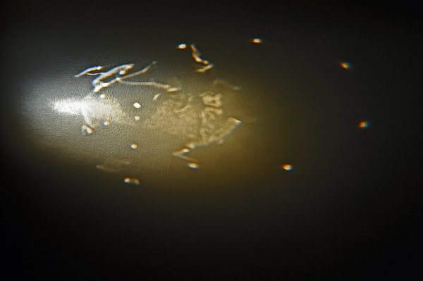 window-light.jpg