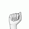 IMG_7931.gif