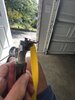 IMG_0206.jpeg