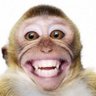 Smiler