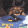 Minniegoon