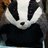 Shavebadger