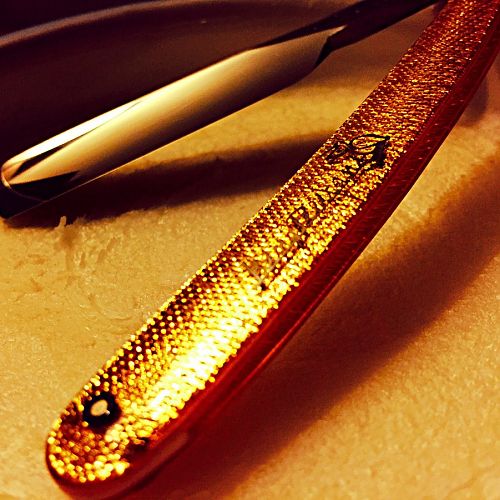 Boellis and King Pelican