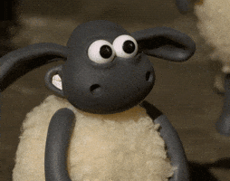 thumbs GIF